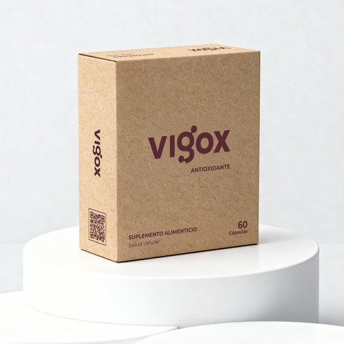 Vigox Antioxidante (60 caps)